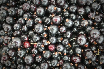 A lot of black currant