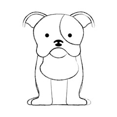 cute dog mascot icon vector illustration design