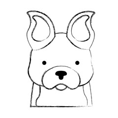 cute dog mascot icon vector illustration design