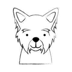 cute dog mascot icon vector illustration design