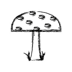 cartoon mushroom nature botanical icon