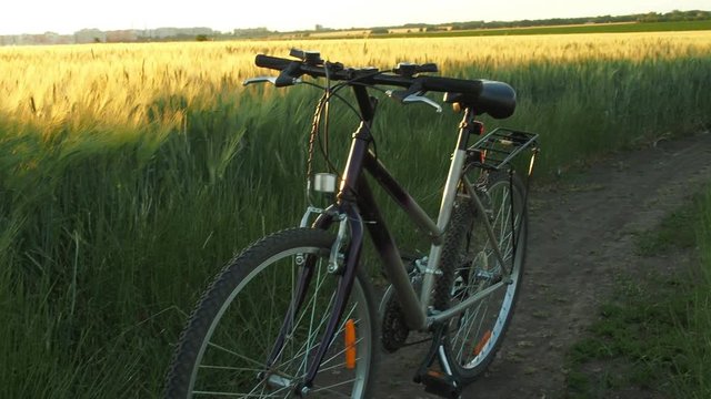 Bicycling in nature. A bicycle at sunset.