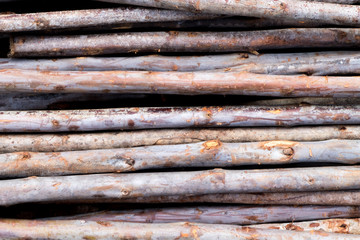 Pile of tree branches composition as a background texture , wood stack background