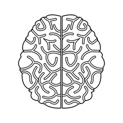 human brain idea creativity thinking memory image