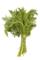 dill on a white background
