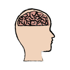 human head and brain mind concept