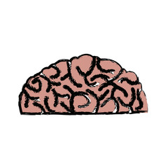 human brain idea creativity thinking memory image