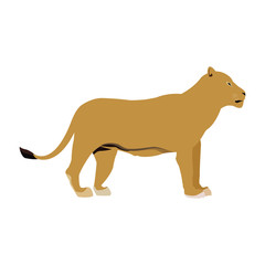 female lion african animal courageous creature