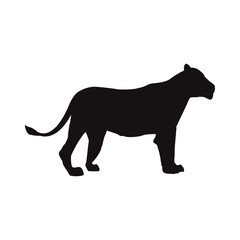 female lion african animal courageous creature