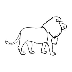 big lion african proud powerful nobility standing and fierce