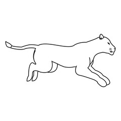 female lion african animal courageous creature