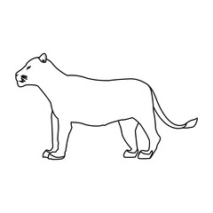 female lion african animal courageous creature