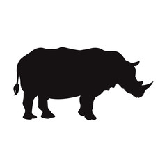 Obraz na płótnie Canvas rhino wild animal africa exotic mammal