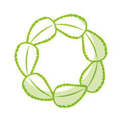 tea leafs product emblem vector illustration design