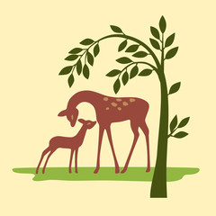 Deer on nature