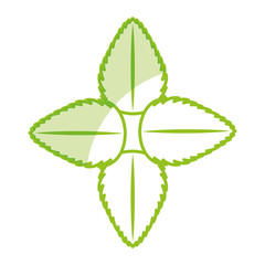 tea leafs product emblem vector illustration design