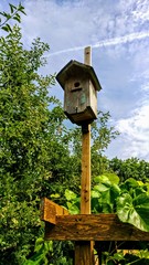Vogelhaus