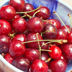 Fresh red cherries berries in blue bowl