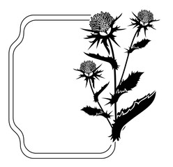 Decorative frame with thistle silhouette. Vector clip art.