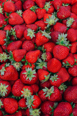 Strawberries, a lot of strawberries, background of strawberries