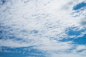 Fototapeta premium Blue sky