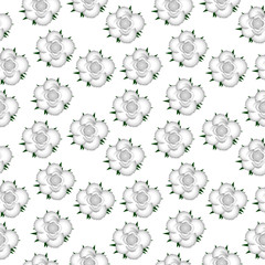 White roses seamless pattern background.