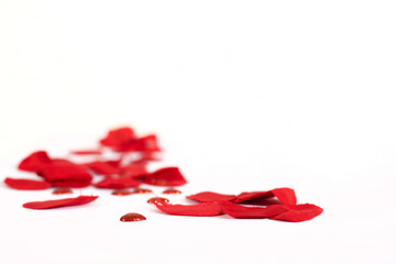 red rose petals romance 