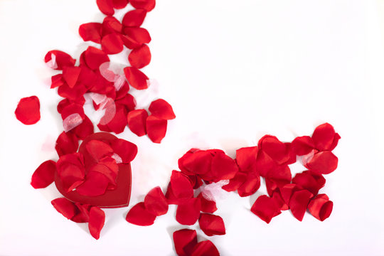 valentines roses and hearts scattered loose along a studio background 