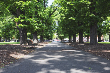 MELBOURNE, AUSTRALIA - NOVEMBER 12, 2015: The government equipped the city with a lot of beautiful park balancing the development of the city with nature.