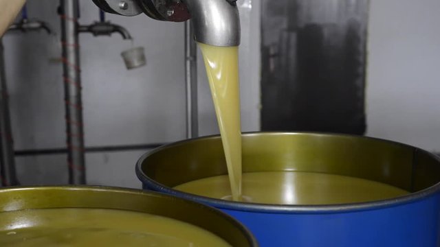 Filling of a barrel with honey at a food factory. Liquid honey packed in barrels for export. International export of honey