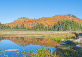 Wetland With A Colorful Autumn Backdrop