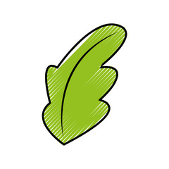tea leafs product icon vector illustration design