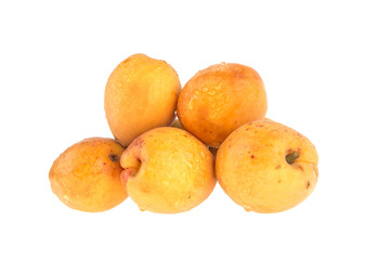 Apricot on white background