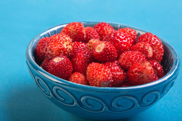 Wild strawberry