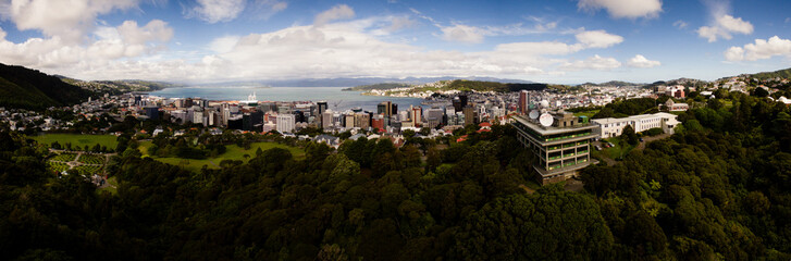 Obraz premium aerial garden with city backdrop, botanical gardens, wellington, new zealand