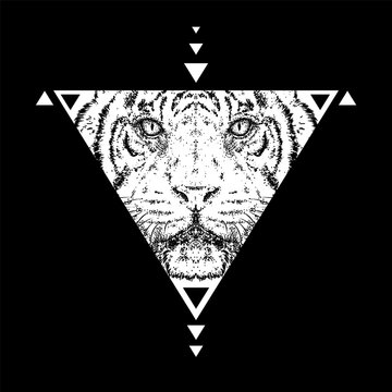 A beautiful tiger. Vector illustration. Wild animal, predator.

