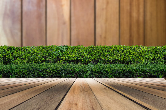 wooden flooring and plant in garden decorative on wooden wall background © Pakkapol