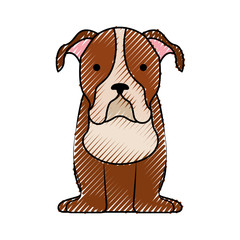 cute dog mascot icon vector illustration design
