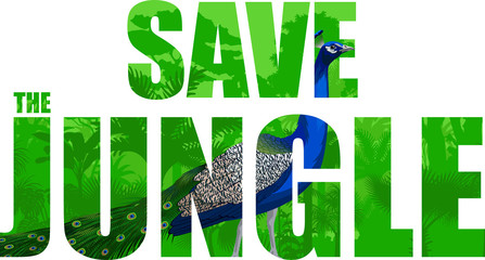 Vector tropical rainforest illustration with male peacock Peafowl (Save the jungle)
