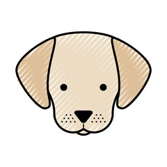 cute dog mascot icon vector illustration design
