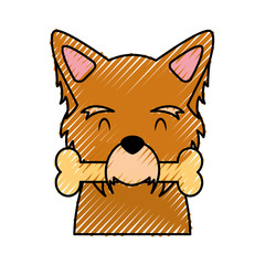 cute dog mascot with bone vector illustration design