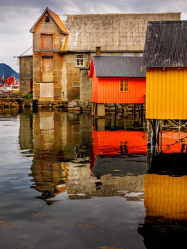 Fishing for color