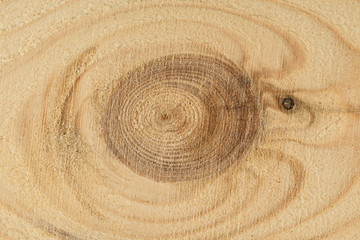 Closeup of a knot on the Board light wood