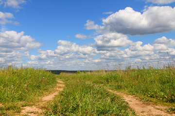Fototapeta na wymiar Rural road in field