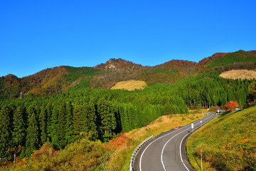 氷ノ山に向かう道路(2016年10月)