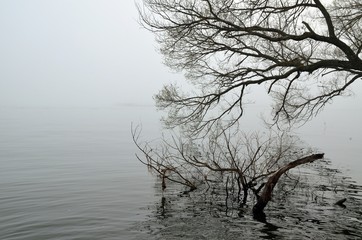 朝霧の琵琶湖湖畔