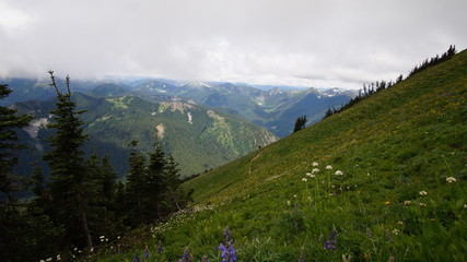 Exploring Washington State, The Pacific Northwest