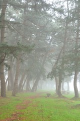 朝霧の琵琶湖湖畔