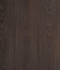 Wood texture in high detail