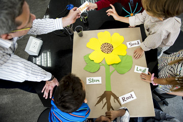Teacher teaching flower structure to diverse group of kindergarten students in science class